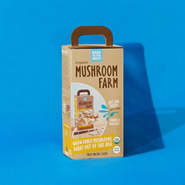 custom Edible Fungi Boxes - Image 2