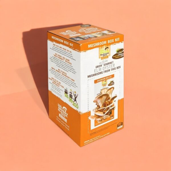 custom Edible Fungi Boxes - Image 4