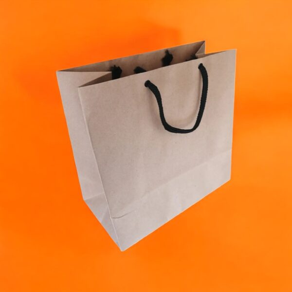 Kraft Paper Bags - Image 3