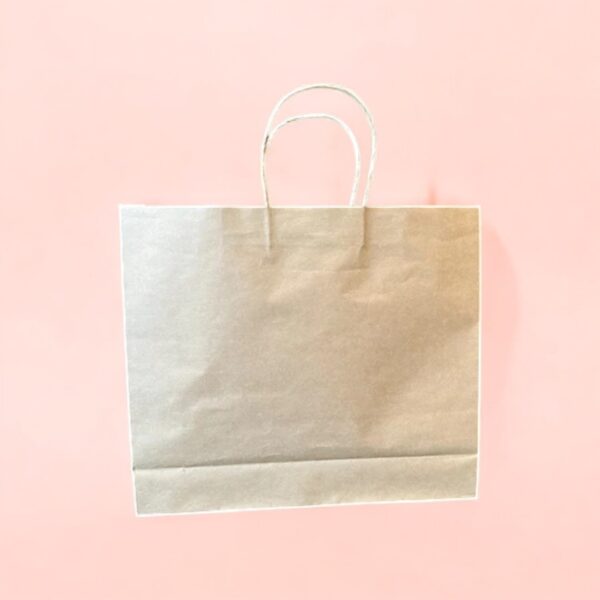 Kraft Paper Bags - Image 2