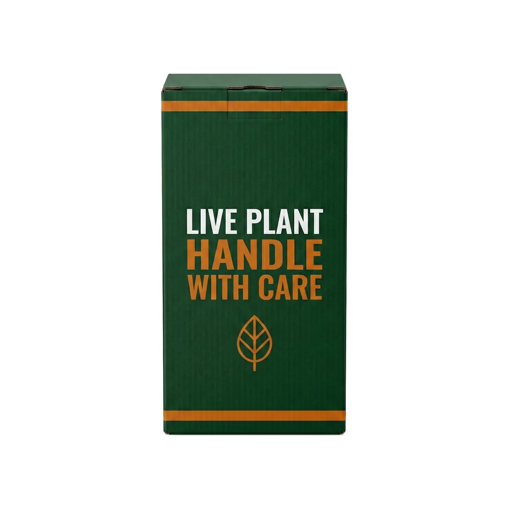 Plant Packaging Boxes